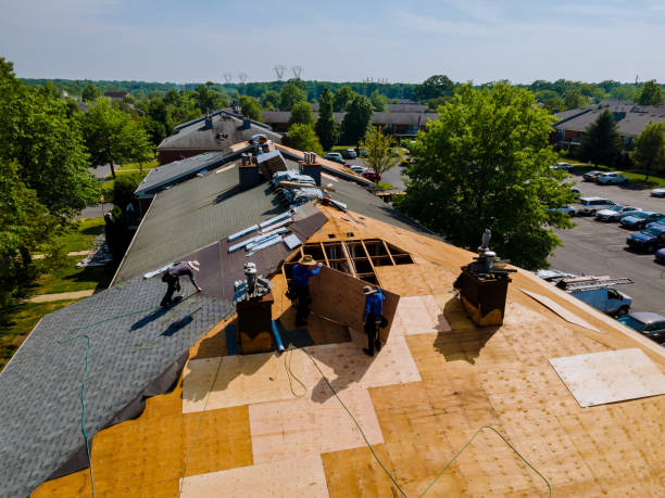 Trusted Storm Damage Roof Repair service in Ceres, VA - Brentwood Metal Roofing
